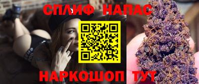 крисы Будённовск