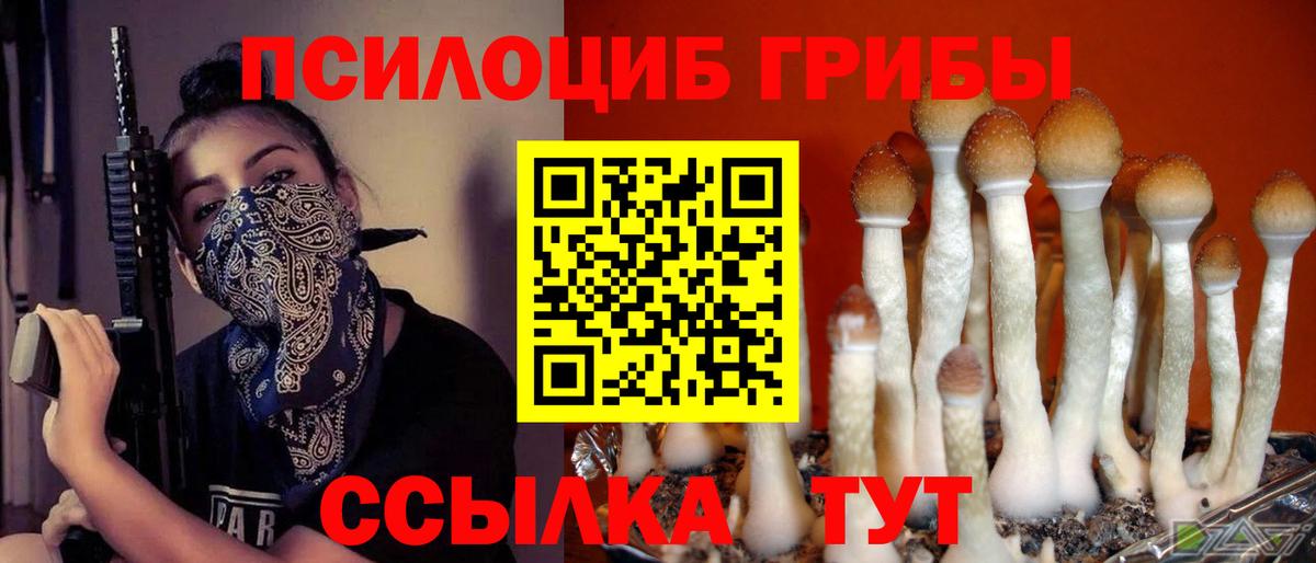 Галлюциногенные грибы Cubensis  Псилоцибиновые грибы Psilocybine cubensis  Новоалтайск  Вход с VPN 