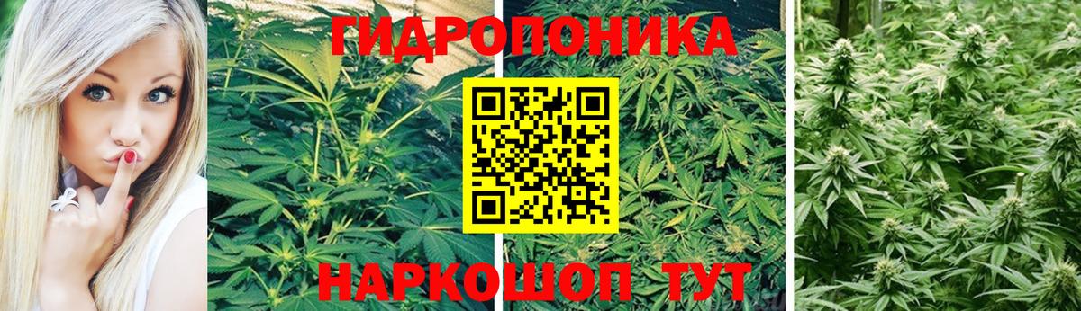 Новоалтайск  Марихуана индика  Канабис ГИДРОПОН  Вход с VPN  Каннабис семена  МАРИХУАНА Ganja 